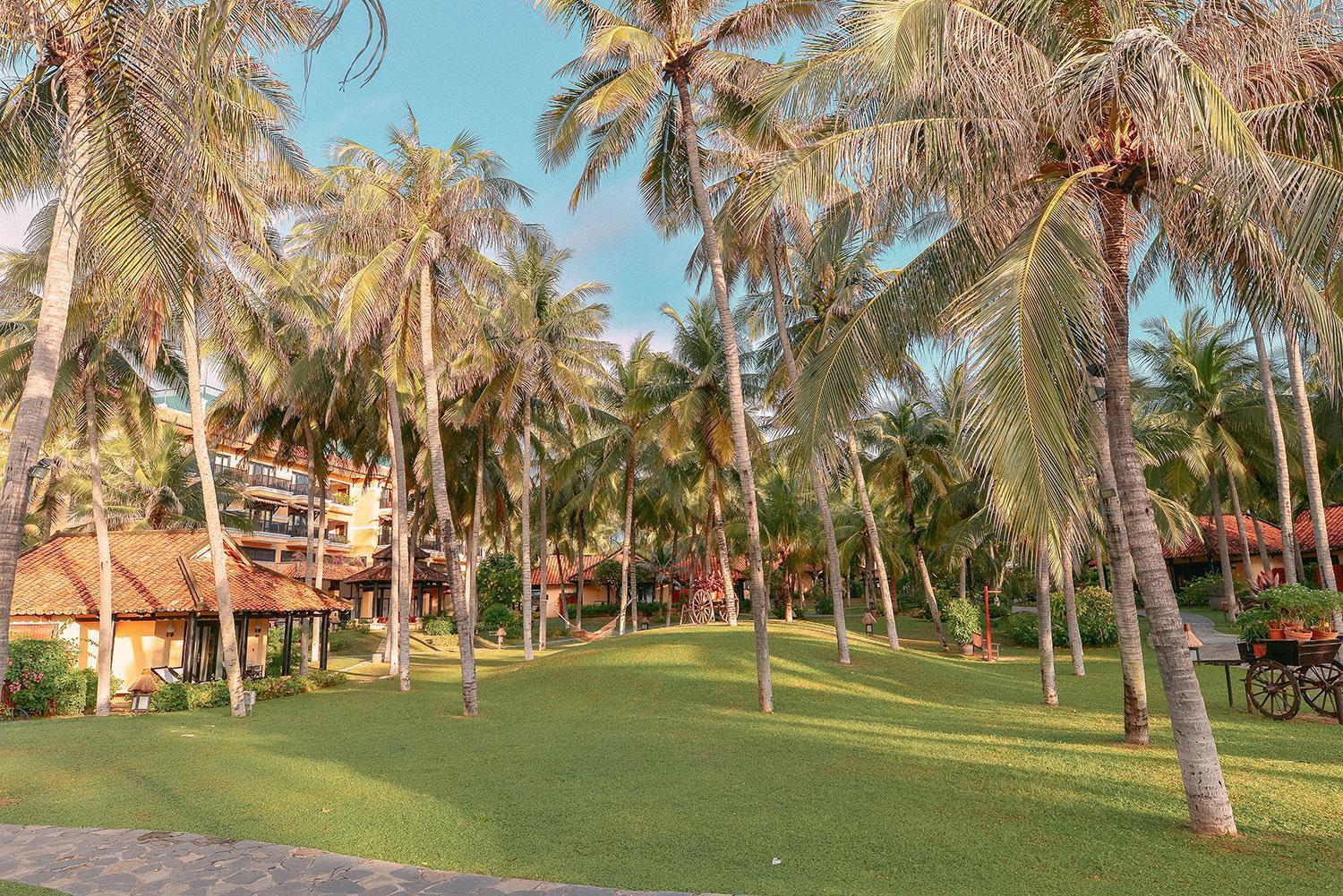 Seahorse Resort & Spa Μούι Νε Εξωτερικό φωτογραφία